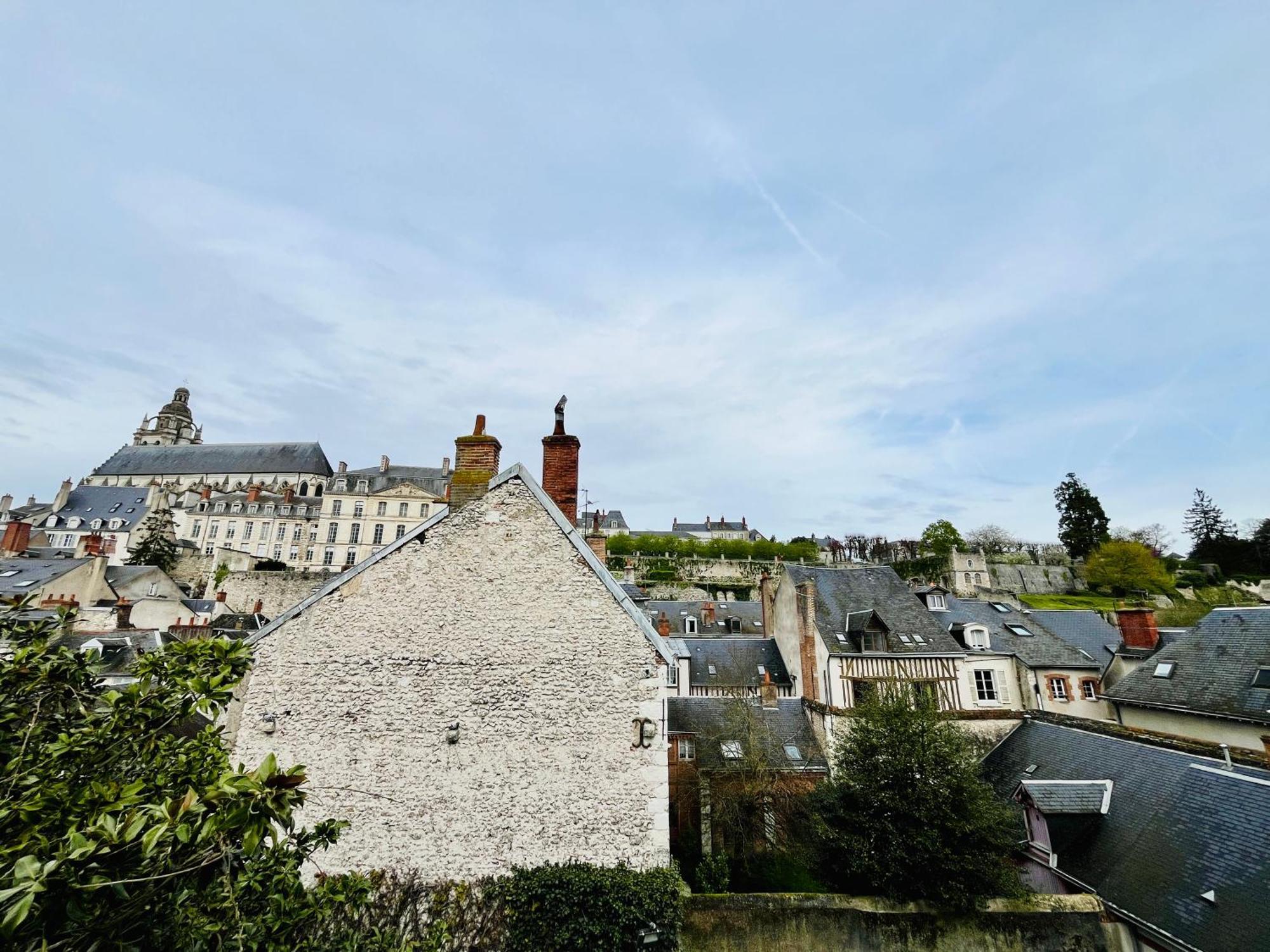 Appartement Vues sur Loire à Blois Extérieur photo